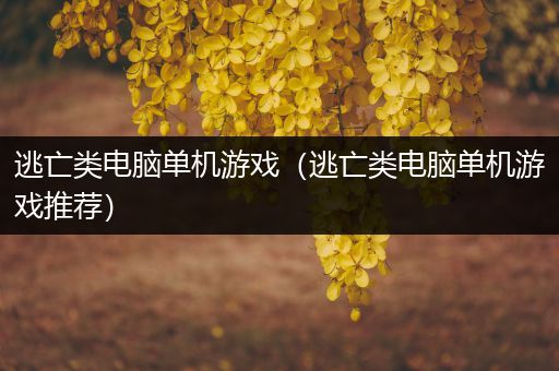 逃亡类电脑单机游戏（逃亡类电脑单机游戏推荐）