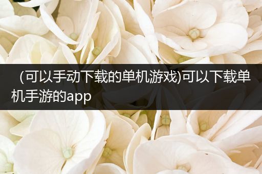 （可以手动下载的单机游戏)可以下载单机手游的app