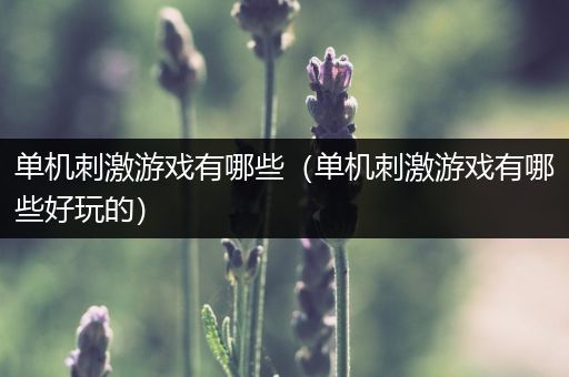 单机刺激游戏有哪些（单机刺激游戏有哪些好玩的）
