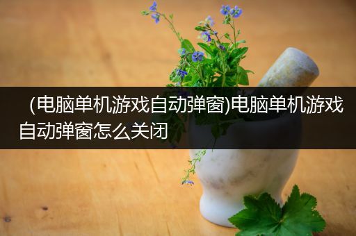 （电脑单机游戏自动弹窗)电脑单机游戏自动弹窗怎么关闭