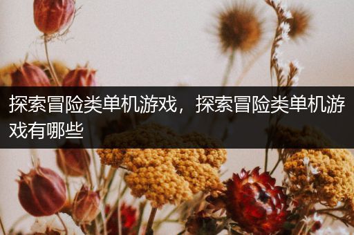 探索冒险类单机游戏，探索冒险类单机游戏有哪些