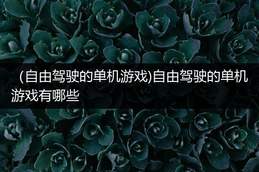 （自由驾驶的单机游戏)自由驾驶的单机游戏有哪些