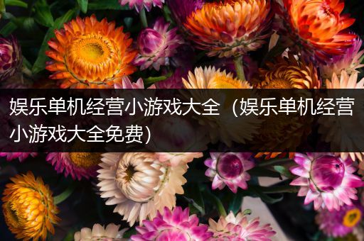 娱乐单机经营小游戏大全（娱乐单机经营小游戏大全免费）