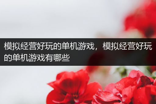 模拟经营好玩的单机游戏，模拟经营好玩的单机游戏有哪些