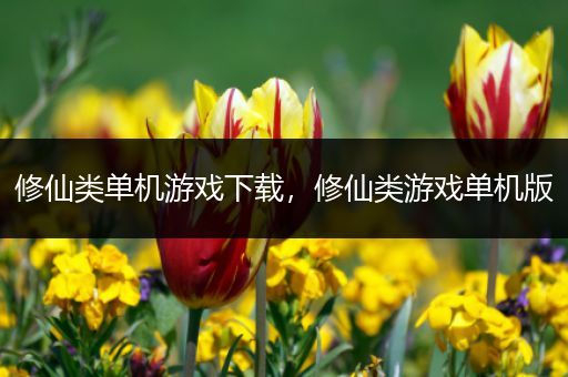 修仙类单机游戏下载，修仙类游戏单机版