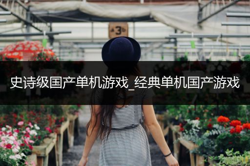 史诗级国产单机游戏_经典单机国产游戏