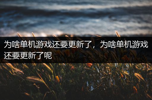 为啥单机游戏还要更新了，为啥单机游戏还要更新了呢
