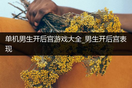 单机男生开后宫游戏大全_男生开后宫表现