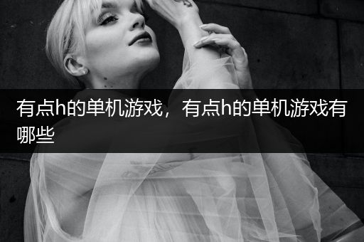 有点h的单机游戏，有点h的单机游戏有哪些