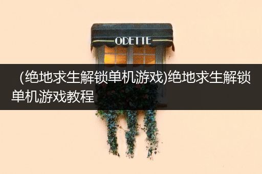 （绝地求生解锁单机游戏)绝地求生解锁单机游戏教程