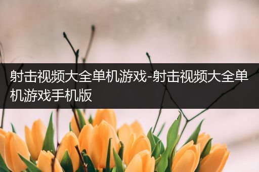 射击视频大全单机游戏-射击视频大全单机游戏手机版
