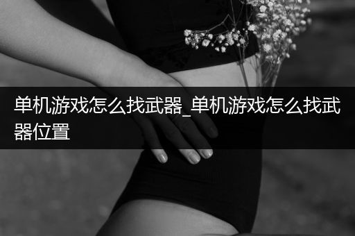 单机游戏怎么找武器_单机游戏怎么找武器位置