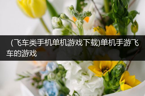 （飞车类手机单机游戏下载)单机手游飞车的游戏