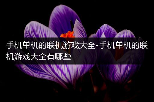 手机单机的联机游戏大全-手机单机的联机游戏大全有哪些