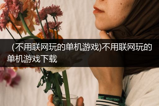 （不用联网玩的单机游戏)不用联网玩的单机游戏下载