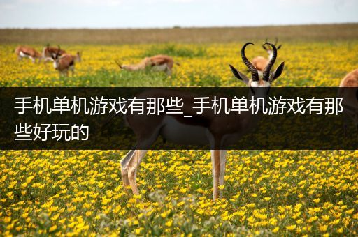 手机单机游戏有那些_手机单机游戏有那些好玩的
