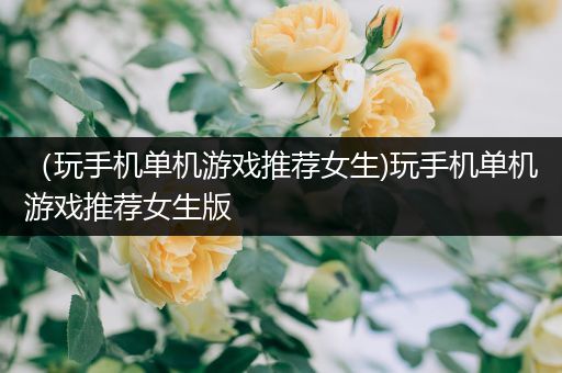 （玩手机单机游戏推荐女生)玩手机单机游戏推荐女生版
