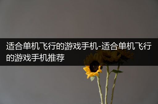 适合单机飞行的游戏手机-适合单机飞行的游戏手机推荐