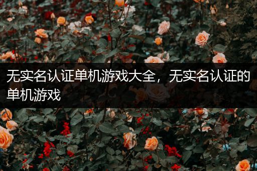 无实名认证单机游戏大全，无实名认证的单机游戏