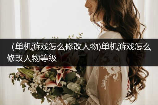 （单机游戏怎么修改人物)单机游戏怎么修改人物等级