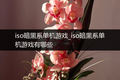 iso暗黑系单机游戏_iso暗黑系单机游戏有哪些