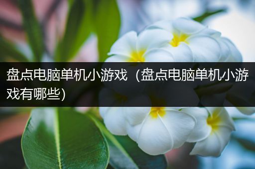 盘点电脑单机小游戏（盘点电脑单机小游戏有哪些）