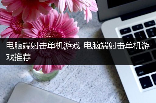 电脑端射击单机游戏-电脑端射击单机游戏推荐