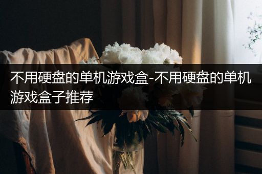 不用硬盘的单机游戏盒-不用硬盘的单机游戏盒子推荐