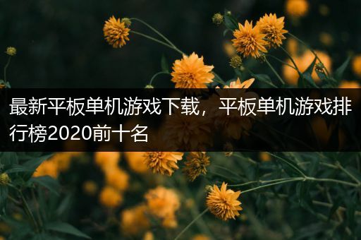 最新平板单机游戏下载，平板单机游戏排行榜2020前十名