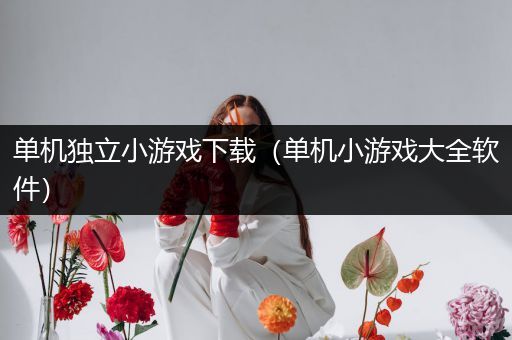 单机独立小游戏下载（单机小游戏大全软件）