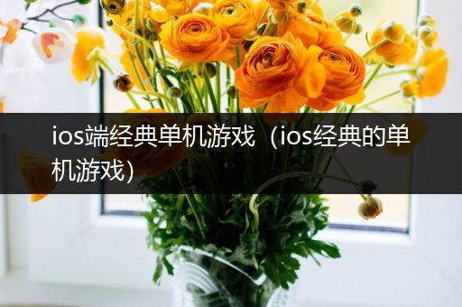 ios端经典单机游戏（ios经典的单机游戏）
