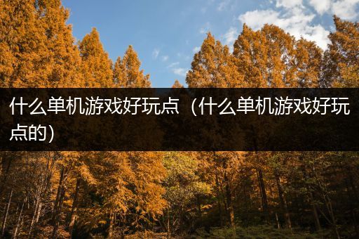什么单机游戏好玩点（什么单机游戏好玩点的）