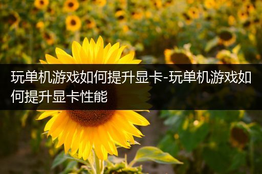 玩单机游戏如何提升显卡-玩单机游戏如何提升显卡性能