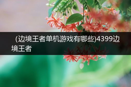 （边境王者单机游戏有哪些)4399边境王者