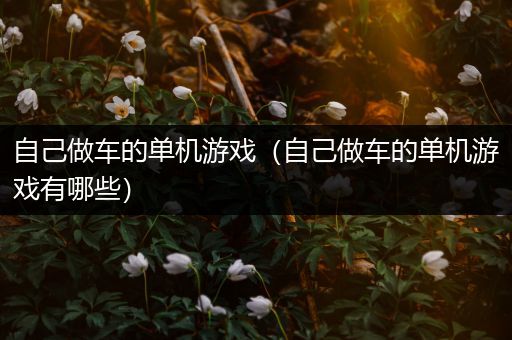 自己做车的单机游戏（自己做车的单机游戏有哪些）