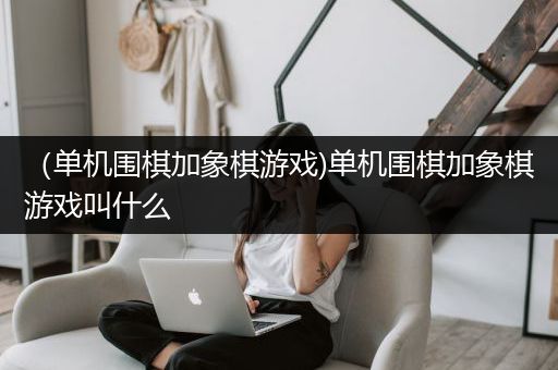 （单机围棋加象棋游戏)单机围棋加象棋游戏叫什么
