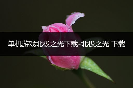 单机游戏北极之光下载-北极之光 下载