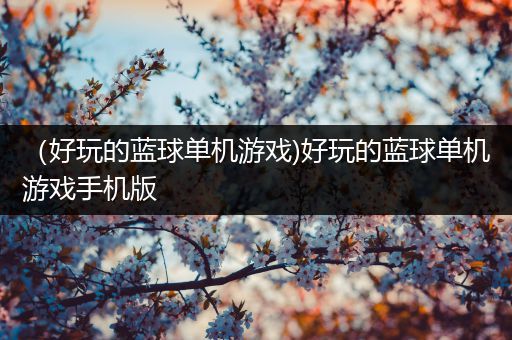 （好玩的蓝球单机游戏)好玩的蓝球单机游戏手机版