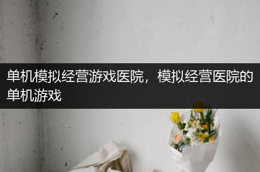 单机模拟经营游戏医院，模拟经营医院的单机游戏
