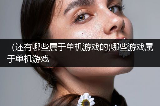 （还有哪些属于单机游戏的)哪些游戏属于单机游戏