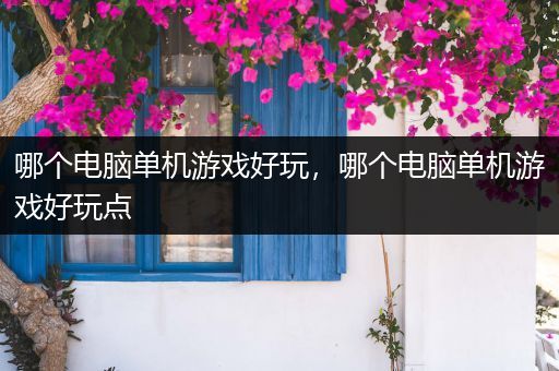 哪个电脑单机游戏好玩，哪个电脑单机游戏好玩点