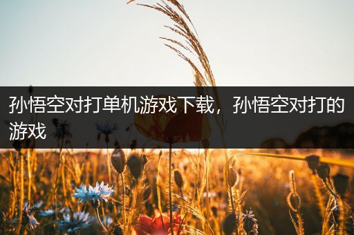 孙悟空对打单机游戏下载，孙悟空对打的游戏