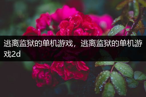 逃离监狱的单机游戏，逃离监狱的单机游戏2d