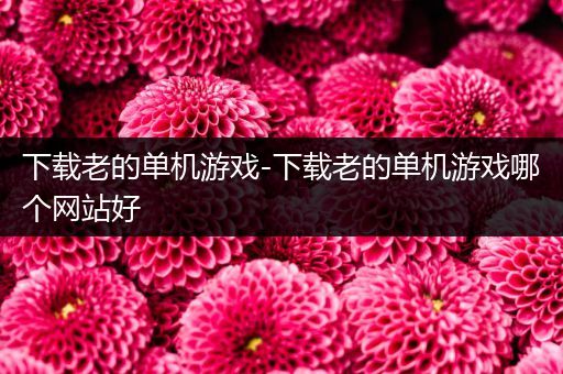 下载老的单机游戏-下载老的单机游戏哪个网站好