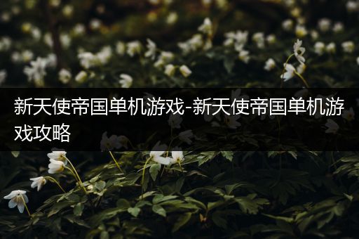 新天使帝国单机游戏-新天使帝国单机游戏攻略