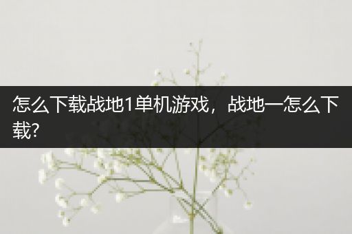 怎么下载战地1单机游戏，战地一怎么下载?