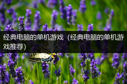 经典电脑的单机游戏（经典电脑的单机游戏推荐）