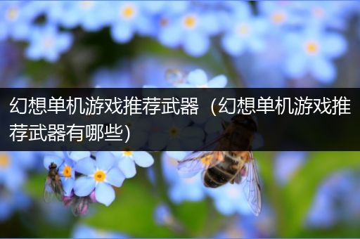 幻想单机游戏推荐武器（幻想单机游戏推荐武器有哪些）