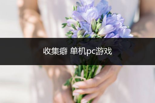收集癖 单机pc游戏
