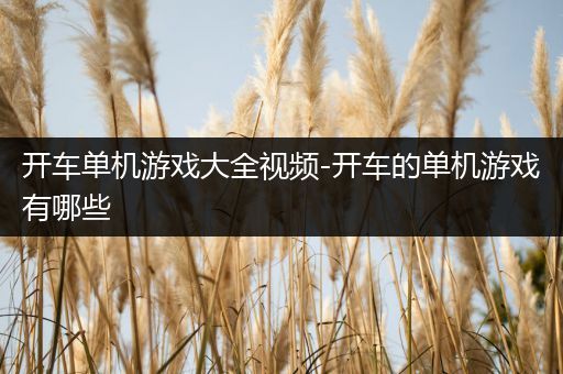 开车单机游戏大全视频-开车的单机游戏有哪些